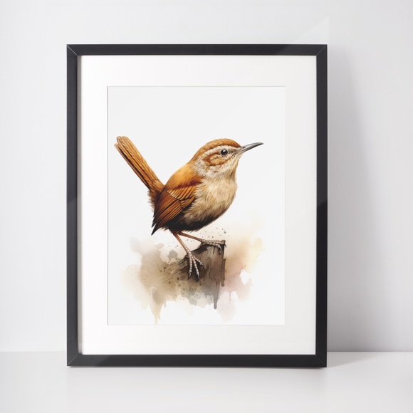 Watercolor Wren Bird Portrait Wall Art Illustration Print Poster Unframed - Picture 3 of 9